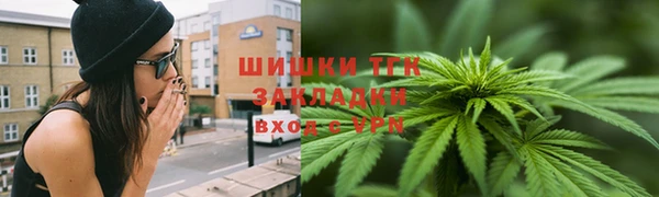 сатива Алексеевка