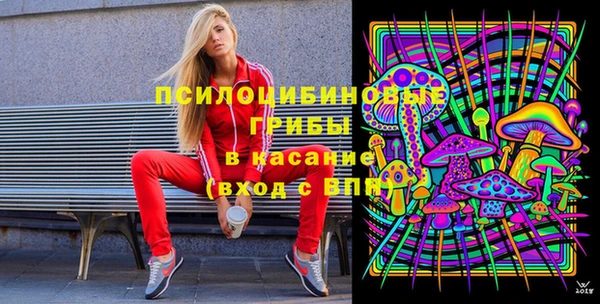 сатива Алексеевка