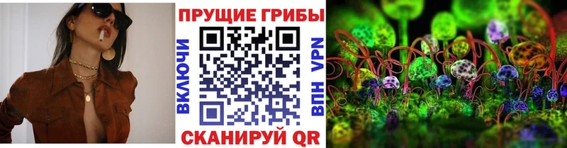 Псилоцибиновые грибы мицелий  Лобня 