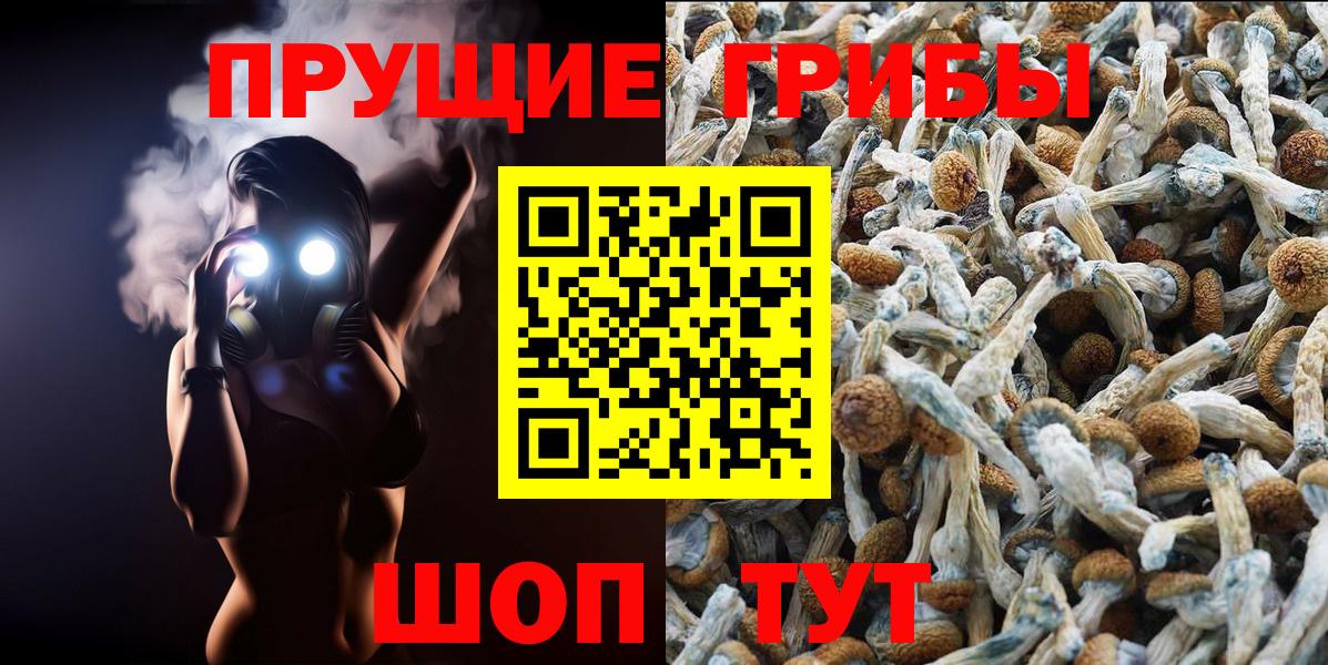 Псилоцибиновые грибы мицелий Лобня