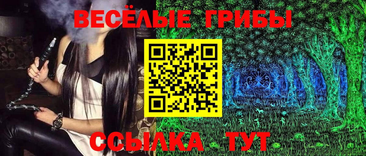 Галлюциногенные грибы Psilocybe  Галлюциногенные грибы мицелий  Вход с VPN  Лобня 